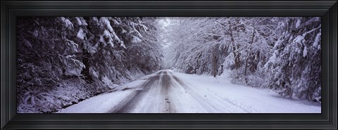 Framed Snow covered road passing through a forest, Fidalgo Island, Skagit County, Washington State Print
