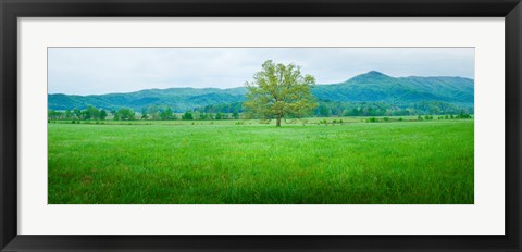 Framed Agricultural field with mountains in the background, Cades Cove, Great Smoky Mountains National Park, Tennessee, USA Print