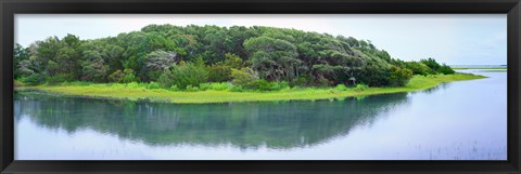 Framed Trees at Rachel Carson Coastal Nature Preserve, Beaufort, North Carolina, USA Print