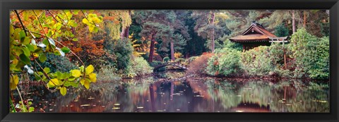 Framed Japanese Garden in autumn, Tatton Park, Cheshire, England Print