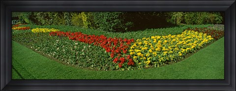 Framed Flowers in St. James&#39;s Park, City of Westminster, London, England Print