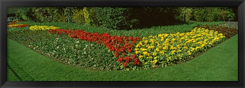 Framed Flowers in St. James&#39;s Park, City of Westminster, London, England Print