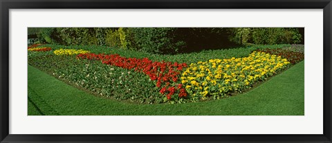 Framed Flowers in St. James&#39;s Park, City of Westminster, London, England Print