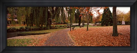 Framed Park at banks of the Avon River, Christchurch, South Island, New Zealand Print