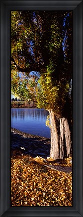 Framed Banks of Lake Wakatipu, Queenstown, South Island, New Zealand Print