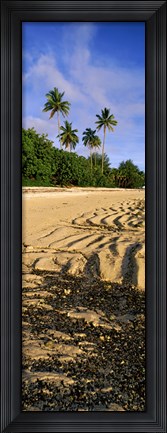 Framed Palm trees on the beach, Rarotonga, Cook Islands, New Zealand Print