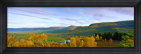Framed Autumn trees at Loch an Eilein, Rothiemurchus Forest, Aviemore, Cairngorms National Park, Highlands Region, Scotland Print