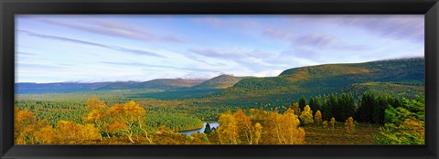 Framed Autumn trees at Loch an Eilein, Rothiemurchus Forest, Aviemore, Cairngorms National Park, Highlands Region, Scotland Print