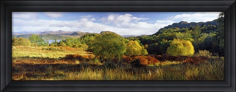 Framed Autumn Rrees at Loch Carron, Scotland Print