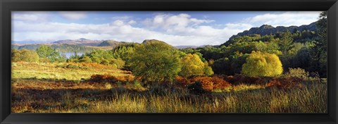 Framed Autumn Rrees at Loch Carron, Scotland Print