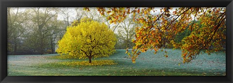 Framed Frost in autumn, St. James&#39;s Park, City Of Westminster, London, England Print