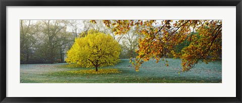 Framed Frost in autumn, St. James&#39;s Park, City Of Westminster, London, England Print