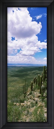 Framed Clouds over a landscape, Tucson Mountain Park, Tucson, Arizona, USA Print