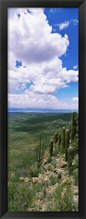 Framed Clouds over a landscape, Tucson Mountain Park, Tucson, Arizona, USA Print