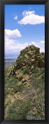 Framed Tucson Mountain Park facing East, Tucson, Arizona, USA Print