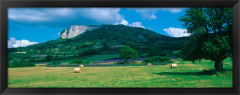 Framed Tree in a field, Mevouillon, Provence-Alpes-Cote d&#39;Azur, France Print