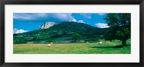 Framed Tree in a field, Mevouillon, Provence-Alpes-Cote d&#39;Azur, France Print