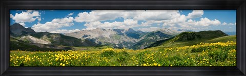 Framed Wildflowers in a field, Champs Pass, French Riviera, France Print