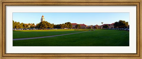 Framed Stanford University Campus, Palo Alto, California Print