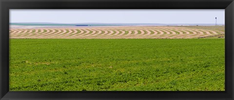 Framed Harvested alfalfa field patterns, Oklahoma, USA Print