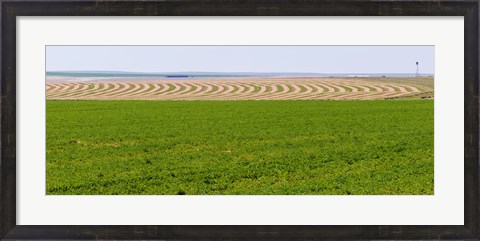 Framed Harvested alfalfa field patterns, Oklahoma, USA Print