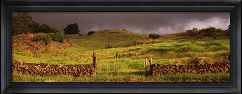 Framed Stone wall in a field, Kula, Maui, Hawaii, USA Print