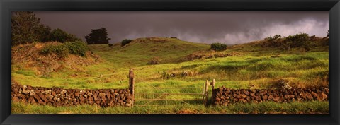 Framed Stone wall in a field, Kula, Maui, Hawaii, USA Print