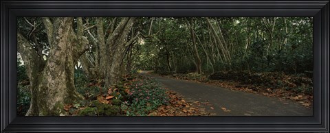 Framed Path passing through a forest, Maui, Hawaii, USA Print