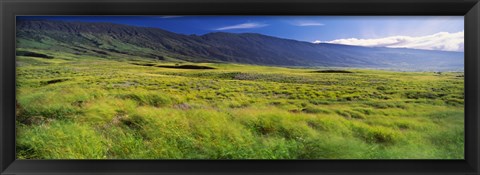 Framed Grassland, Kula, Maui, Hawaii, USA Print