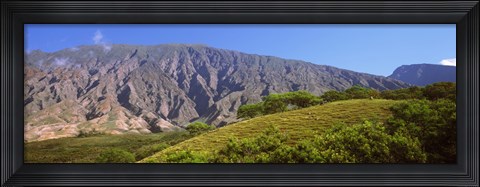 Framed Trees on a hill near Haleakala Crater, Maui, Hawaii, USA Print