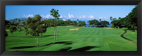 Framed Trees , Kaanapali Golf Course, Maui, Hawaii, USA Print