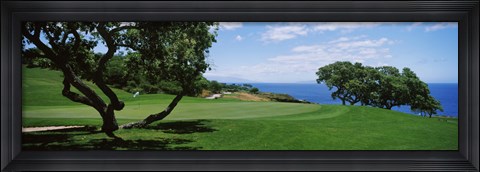 Framed Trees on a golf course, The Manele Golf course, Lanai City, Hawaii, USA Print
