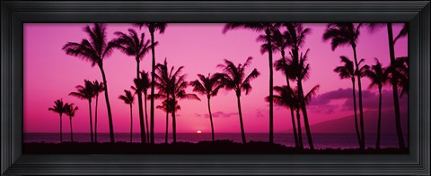 Framed Silhouette of palm trees at dusk, Hawaii, USA Print