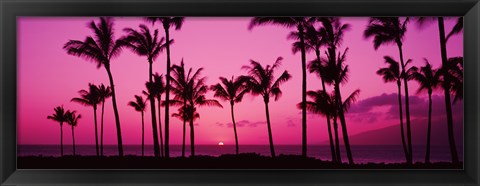 Framed Silhouette of palm trees at dusk, Hawaii, USA Print