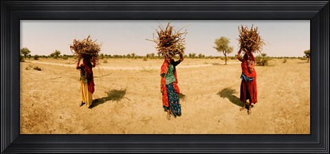 Framed Women carrying firewood on their heads, India Print