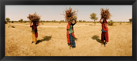 Framed Women carrying firewood on their heads, India Print