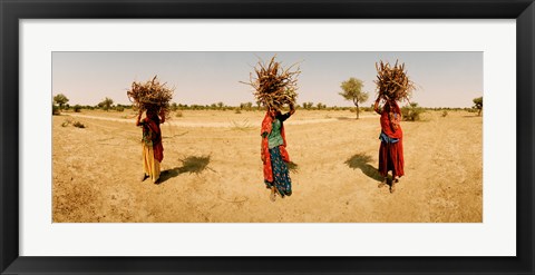 Framed Women carrying firewood on their heads, India Print