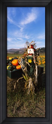 Framed Scarecrow in Pumpkin Patch, Half Moon Bay, California (vertical) Print