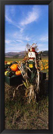 Framed Scarecrow in Pumpkin Patch, Half Moon Bay, California (vertical) Print