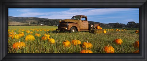 Framed Old Rusty Truck in Pumpkin Patch, Half Moon Bay, California, USA Print