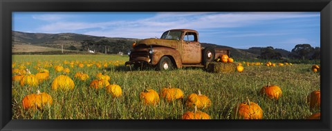 Framed Old Rusty Truck in Pumpkin Patch, Half Moon Bay, California, USA Print