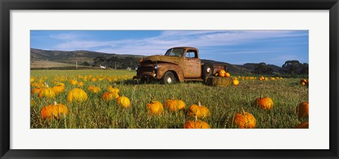 Framed Old Rusty Truck in Pumpkin Patch, Half Moon Bay, California, USA Print