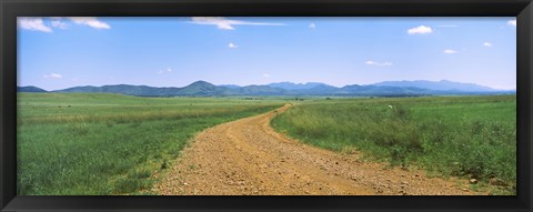 Framed Dirt road passing through a landscape, San Rafael Valley, Arizona Print