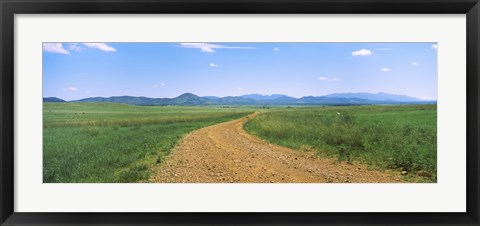 Framed Dirt road passing through a landscape, San Rafael Valley, Arizona Print