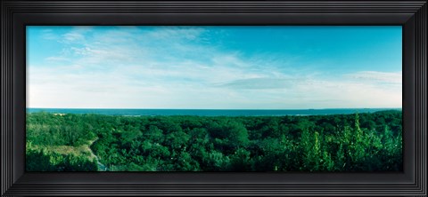 Framed High angle view of trees with Atlantic Ocean at Fort Tilden beach, Queens, New York City, New York State, USA Print