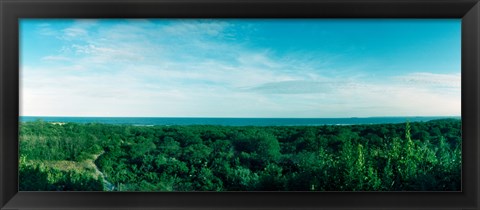 Framed High angle view of trees with Atlantic Ocean at Fort Tilden beach, Queens, New York City, New York State, USA Print