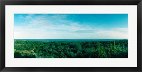 Framed High angle view of trees with Atlantic Ocean at Fort Tilden beach, Queens, New York City, New York State, USA Print