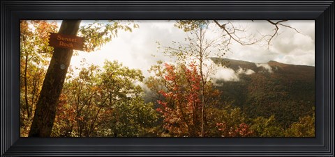 Framed Trees with Sunset Rock sign, Kaaterskill Falls area, Catskill Mountains, New York State, USA Print