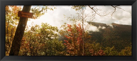 Framed Trees with Sunset Rock sign, Kaaterskill Falls area, Catskill Mountains, New York State, USA Print