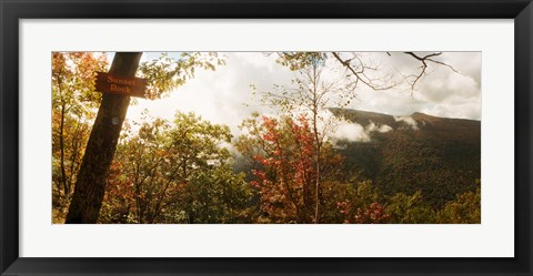 Framed Trees with Sunset Rock sign, Kaaterskill Falls area, Catskill Mountains, New York State, USA Print